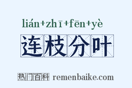 连枝分叶是什么意思的图片